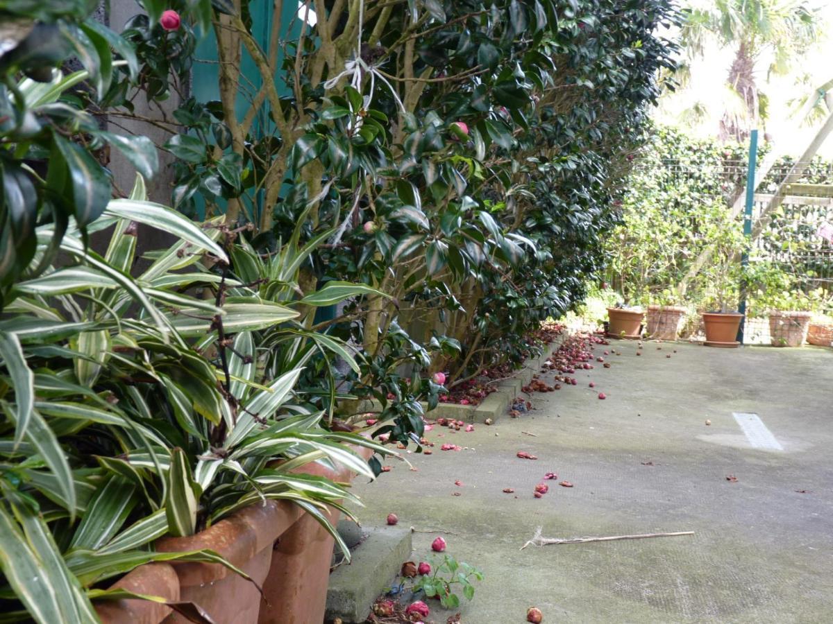 Azores Holidays House -B&B - Suites - Self Check-In Keyboard Понта-Делгада Екстер'єр фото