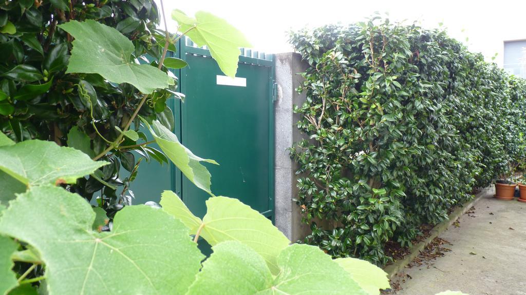 Azores Holidays House -B&B - Suites - Self Check-In Keyboard Понта-Делгада Екстер'єр фото